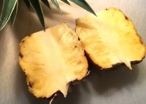 Ananas comosus 'Juicy' 